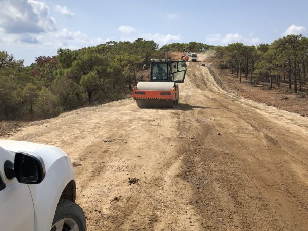 Cost of Driveway Grading in Franklin
