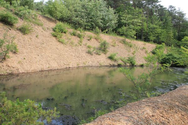 Cost of Pond Erosion Repair in Franklin