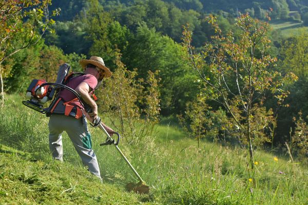 Cost of Slope Trimming in Franklin